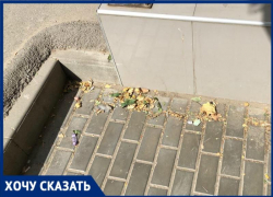 «Мы уже замучились»: предприниматели вместо коммунальщиков в Волгограде сами  убирают грязную улицу