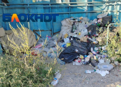 Крысы завелись в заваленной помоями самой жуткой остановке Волгограда
