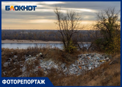 "Высотки и парки": в Волгограде задумали огромную стройку среди руин тракторного завода