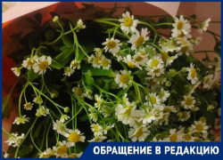 Хилый букетик и 3 часа ожидания: онлайн-доставка испортила День матери волгоградке 