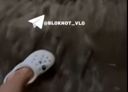 «Лови волну» по-волгоградски: последствия мощного ливня попали на видео 