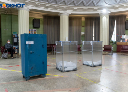 Кандидаты на довыборах в Волгоградскую облдуму пошли в народ со скандальным шлейфом