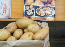 Волгоградка ударила сына топором за отказ помогать копать картошку