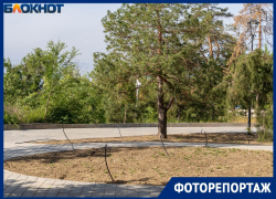 «А где зелень?» в Волгограде впопыхах довели до ума набережную за 135 млн рублей