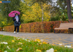 Зиму Волгоград встретит без морозов: синоптики дали прогноз до конца ноября