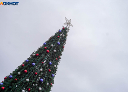 Огни двух главных елок зажгли в Волгограде 