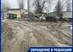 В мусорный полигон превратился частный сектор в Волгограде