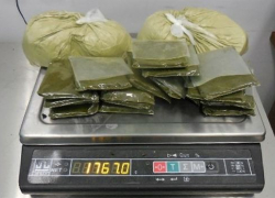 Таможенники изъяли более 117 кг насвая у пассажиров в аэропортах Волгограда и Астрахани