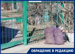 Волгоградцы жалуются на двухнедельный невывоз мусора