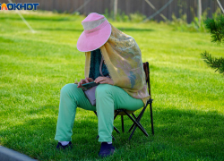 Ждать ли нашествия комаров весной-2026, объяснил биолог