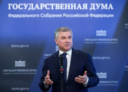 Чужой среди своих: Волгоград не хочет признавать Вячеслава Володина своим депутатом