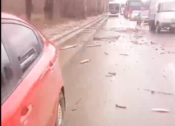 В Волгограде упавшая на дорогу ветка повредила иномарку и бензовоз