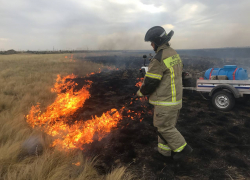 В Волгоградской области эвакуировали жителей хутора из-за лесных пожаров
