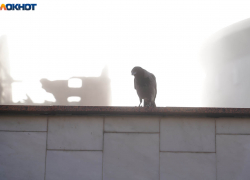  Желтый уровень ввели в Волгограде из-за сильного тумана