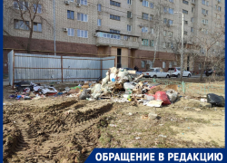 Крысы и обросший мусором берег: как гибнут перспективные места для детского отдыха в Волгограде