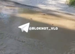 Проезжая часть ушла под воду в Волгограде – видео 
