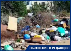 Свалку с разлагающимися трупами собак пять лет требуют убрать в Волгограде