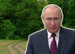 Путин промолчал о качестве жизни в Волгоградской области