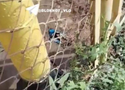 Вода третьи сутки бьет ключом из-под котельной в Волгограде