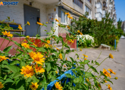 Квартиры Волгограда оказались одними из самых дешевых по стране 