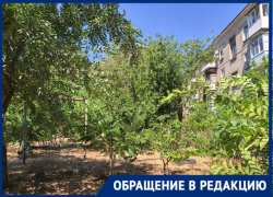 Волгоградцы взбунтовались против организации парковки в своем дворе