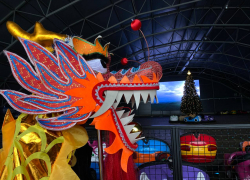 С гигантским драконом и пандой встретят китайский Новый год в Волгограде