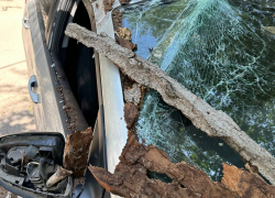 Шок-видео: обрубок дерева превратил машину волгоградки в консервную банку