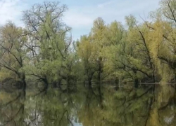 Как разлилась Волга в уникальном месте у острова Сарпинский показали на видео