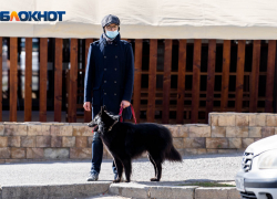 Новый рекорд по зараженным COVID-19 зафиксирован в Волгоградской области