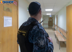 Хозяйка лайки, разорвавшей лицо 9-летнему, завралась на суде под Волгоградом 