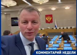 Переживаете — забирайте себе домой: в Госдуме займутся бродячими собаками и теми, кто их кормит