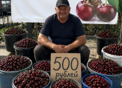 «Ее в этом году мало»: черешню за 500 рублей начали продавать в Волгограде