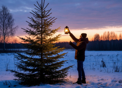 «Ее там будто нет»: мрачная елка возмутила волгоградцев из Красноармейского