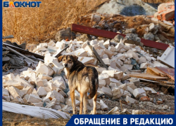 Вблизи полигона "алюминьки" под Волгоградом открывают завод: жители собирают подписи против