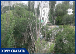 "Становится страшно»: волгоградка боится сухостоя на улице Хиросимы