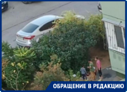 Живут табором, разоряют мусорки и орут матом: на безнадзорных детей жалуются в Волгограде