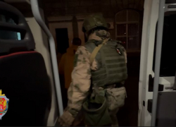 Крупную партию черной икры перехватила ФСБ под Волгоградом