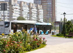 Остановки по цене дачного домика начали устанавливать в Волгограде