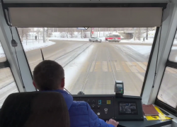 Чешского Франкенштейна пустили на работу в Волгограде 