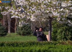 Майским теплом и репетицией магнитных гранд-бурь попрощается март с Волгоградом