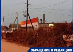 Волгоградцы пожаловались на «Магнит» в окружении свалок и бездомных собак