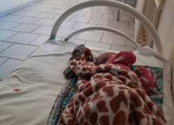 Не быть халатными попросила медиков волгоградка, проездившая с больным младенцем 10 часов по больницам