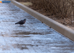 Снегодождь накроет Волгоград в середине недели
