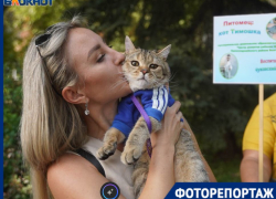 У столичных звезд эстрады нашлись сильные конкуренты в Волгограде