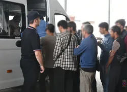 Деньги и автомобили изъяли во время облавы на мигрантов на оптовой базе в Волгограде 