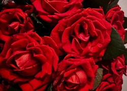 Зек сделал двух истосковавшихся по любви волгоградок ждулями и «развел» на 2,5 миллиона 