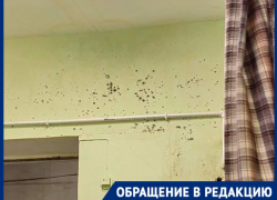 Плесень захватила детскую поликлинику в Волгограде: видео