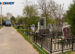 Волгоградка пожаловалась на нападение кладбищенской собаки 