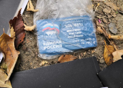 В центре Волгограда нашли выброшенными на помойку удостоверения членов «Единой России»