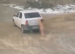 Голую волгоградку протащили по земле и отправили в психбольницу: новые подробности шок-видео